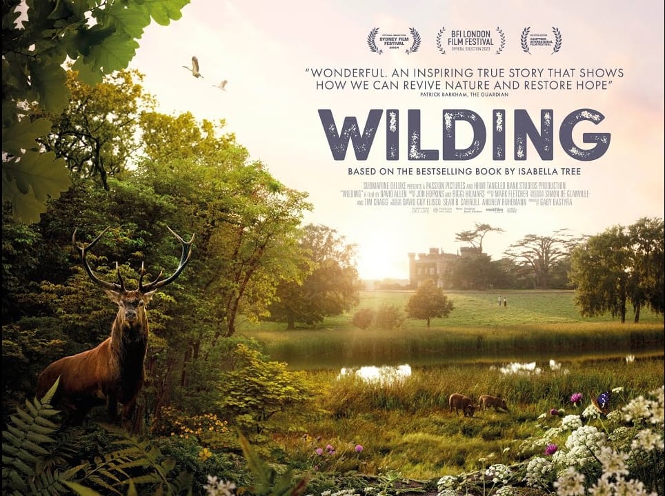 MMMM! Monday 14 Oct, Movie (Wilding), Meal & Mingling